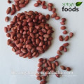 import groundnut